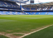 开云棋牌试玩-世界网球队力克日本网球队，瓦林卡三分雨点燃全场