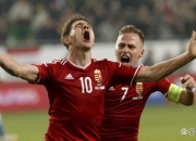 开云棋牌试玩-挪威被匈牙利击败，欧预赛小组战术调整