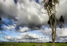 开云官网-巴黎圣日耳曼绝杀多特蒙德，凯恩扑点救主世界杯