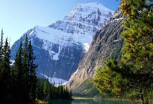 开云棋牌下载-德国乒乓球队决战精彩瞬间：绝杀法国，马龙破纪录再攀高峰