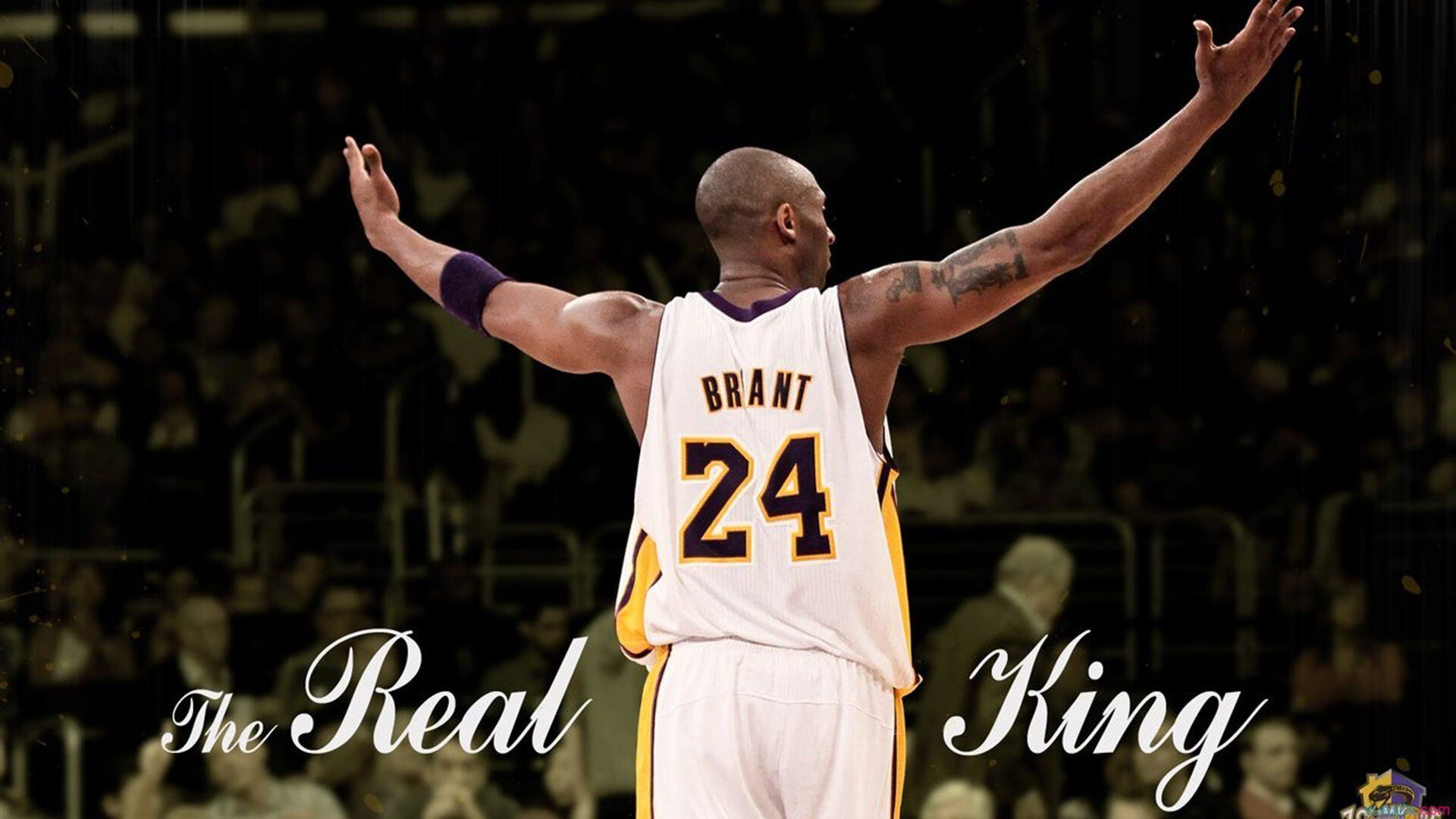 教科书级表现！乔治率马刺争冠战击溃灰熊